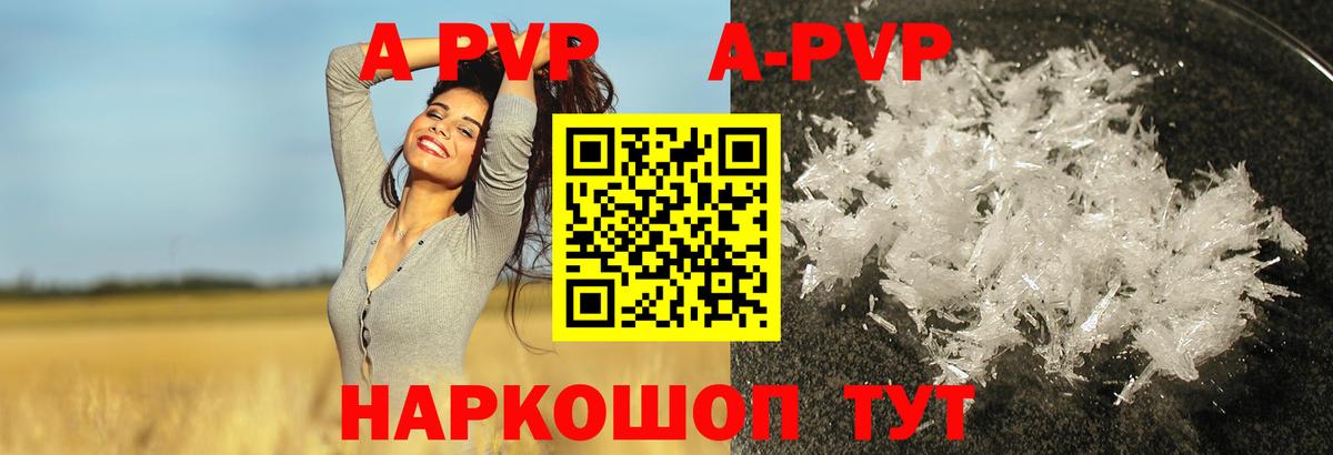 Альфа ПВП СК КРИС Сегежа