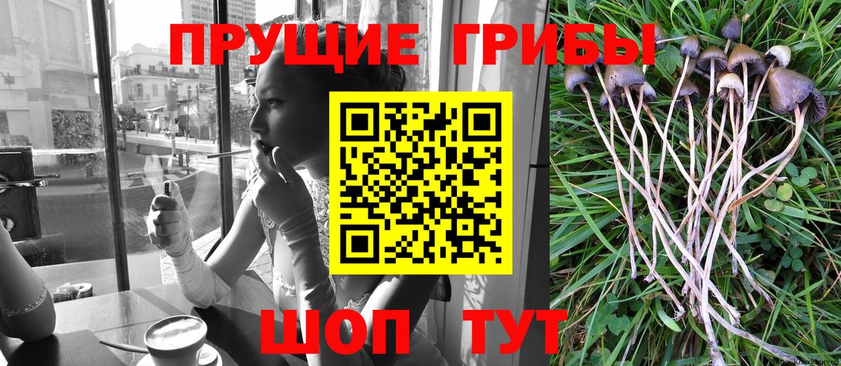 Сегежа  Псилоцибиновые грибы мухоморы  Вход с VPN 