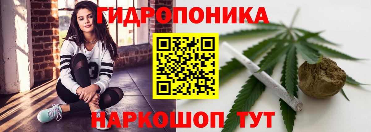 Шишки марихуана Bruce Banner Сегежа